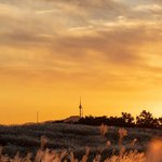 외로운 아이들의 <b>온화</b>한 의지처 되시고