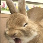 요즘 <b>노래</b> 짧아지는 거 <b>조카</b> 싫어