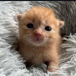 나 어릴 때 사진들.<b>jyp</b>