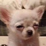 [댓글부탁해] 성형외과 상담<b>실장</b> 조심하셈…