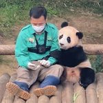 [<b>푸바오</b>] <b>푸바오</b> 못 잃어