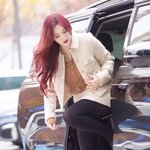 ‘볼수록 감탄하는 아름다운 각선미’ (<b>동물</b>농장 출근길) [HD포토]