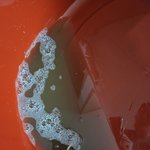 이 <b>배추</b> 먹을 수 있는 사람이 있을까요?