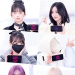 [현장포토] "해피 리즈 데이~"...아이브, 깜찍한 이벤트