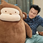 박진영과 <b>고릴라</b>의 공통점