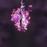 [<b>TXT</b>] 태현이랑 꽃이랑 진짜 뭐 있나