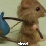 [<b>땃쥐</b>는] 떠나요 어디로~!