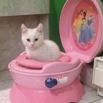 <b>아우</b> 뒷골땽겨