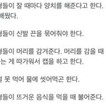 보넥도 팬들아 이거 찐이야?