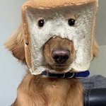 [간다] 간다 <b>헤이</b>~! 간다간다간다