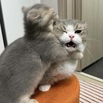 [간다] 간다 <b>헤이</b>~! 간다간다간다