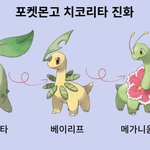 [귀엽잔아] <b>치코</b>리타봐