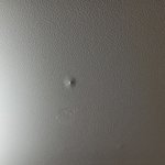 [드루와] 천장에 <b>꼭지</b>자람...