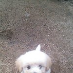 [모두드루와] 왜.울어..울지마