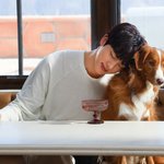 [방탄소년단] 회전목마 탄 <b>왕자님</b>이 한 말이 아니었다닛