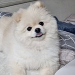 [댓글부탁해] 16살 <b>사촌</b>여동생 생일 선물 뭐 줘야함?
