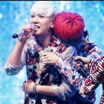 지디 인스타 팬계정이면 다 좋아요 누르는거