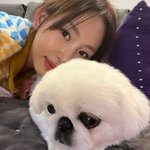  너무 사랑스러운 강이지상 미녀..반려견과 닮았네 [<b>SHOT</b>!]