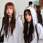 [모두드루와] 판<b>년들</b> 이즈나 멤버들이랑