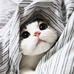 [혼자하는말] 나에게 올해는