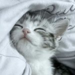 와 조이 랑 크러쉬 진짜 엄청오래<b>사귀네</b>