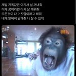 <b>볼살</b>있는 남자가 좋음