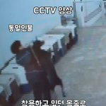[도와주세요] 양주 반려견 유치원 <b>상습</b> 학대 사건 (도와주세요)