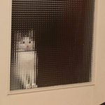 [댓글부탁해] 다들 <b>생리전</b> 우울증 어떻게 다스려