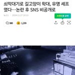 고양이 학<b>대범</b>이 하는 유명 디저트 카페