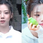 우주소녀사실상<b>해체</b>인데레드벨벳도<b>해체</b>아닌가?