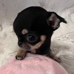 [19] 오늘 <b>면접</b> 봄