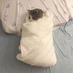 [<b>춥다</b>] 진짜 추워서 미쳐버리겠다