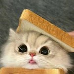 <b>긴장</b>하지말고