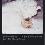 추워질때마다