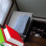 5개월 강아지 약올리기