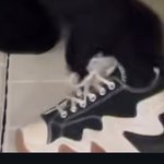 [ㅈㄱㄴ] 이거 <b>신발</b> 먼지 알아???