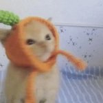 [전화가] <b>안</b><b>온</b> 이유는