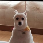 [댓글부탁해] 인생 고민말하면 조언 <b>상담</b>해줌