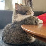 [나좀] 내버려둬