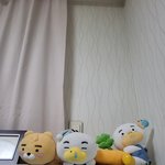 [어때] 째<b>롱아</b> 새로운 인형가족