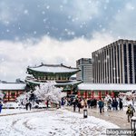 [국내여행] 경복궁 <b>설경</b>