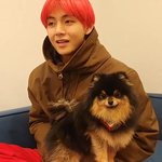 <b>연탄이</b>가 강아지별에 갔구나 이때 브이앱 봤었는데