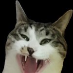 [댓글부탁해] 위생관념 제로 대결하자