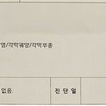 [<b>방</b>탈죄송] (녹취 추가)실명시킨 동물병원, <b>끝</b>까지 거짓말하고 방치했습니다...