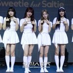 시그니처, 지원 <b>워터</b>밤 확 떴는데... 데뷔 4년만 해체 [전문]