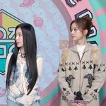 아<b>쯔지</b> vs 장카설 대결 ㄷㄷㄷ