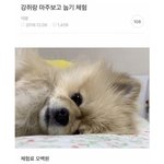 [강진아] 자기얼굴이 한<b>소희</b> 외국인이라고