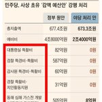 정부의 <b>손발</b>자른 민주당