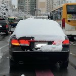 눈 온 다음날 꼭 나타나는 <b>빌런</b>