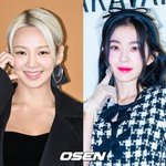 소녀시대x레드벨벳도 못 본다…계엄 여파? '밥사효' 아이린 편 공개...